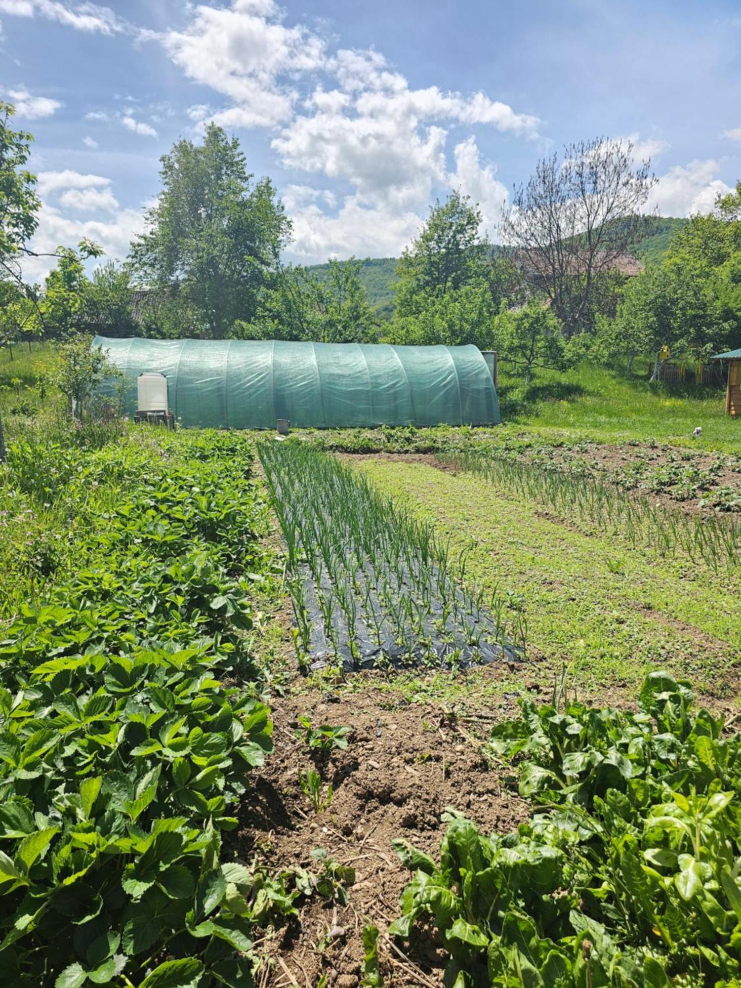 Konaci Oceva Zemlja Bungalovi Konaci Oceva Zemlja Vikendica Mojkovac Exterior foto