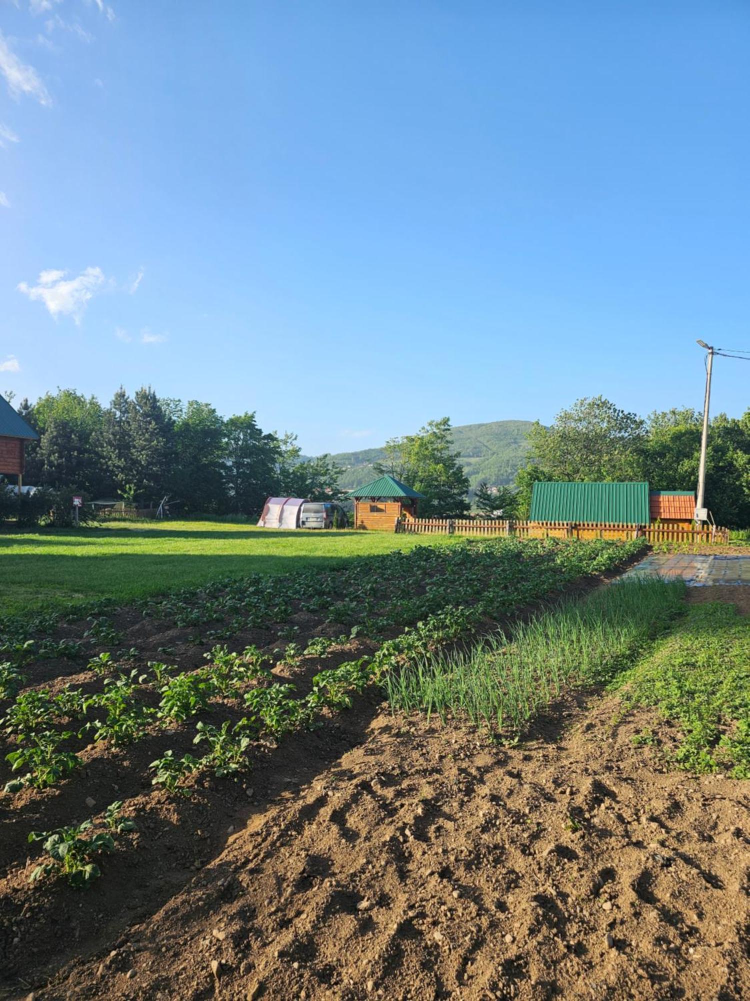 Konaci Oceva Zemlja Bungalovi Konaci Oceva Zemlja Vikendica Mojkovac Exterior foto